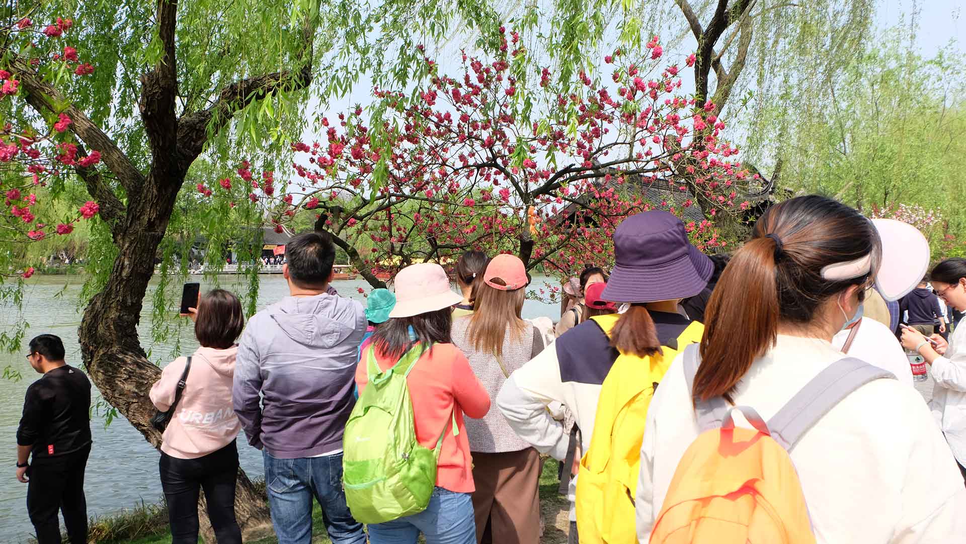 米兰·(milan)科技